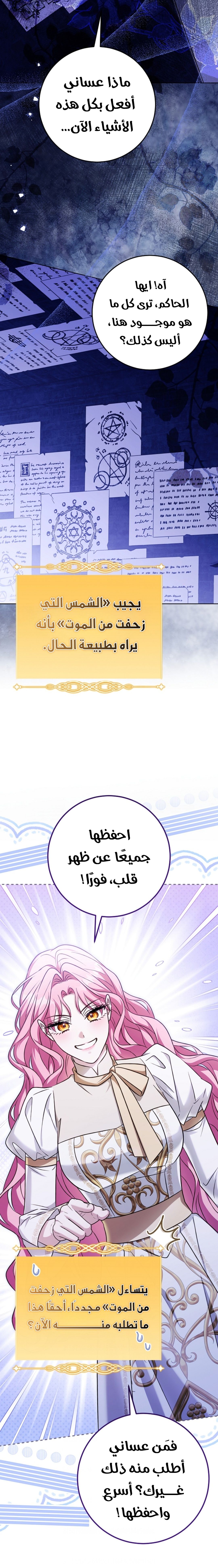 الصفحة 24
