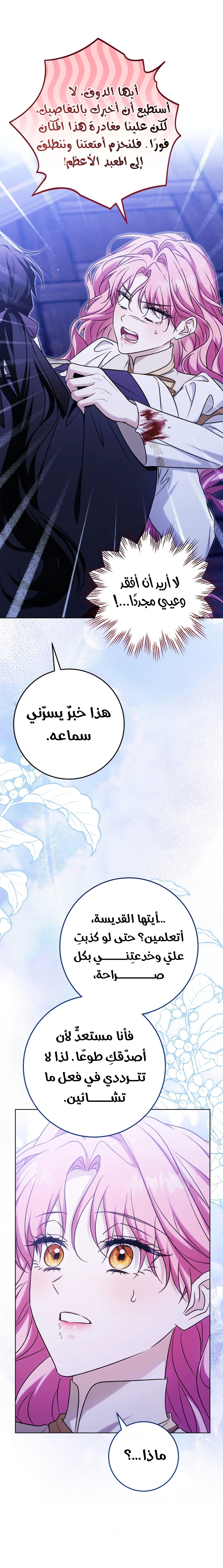 الصفحة 14