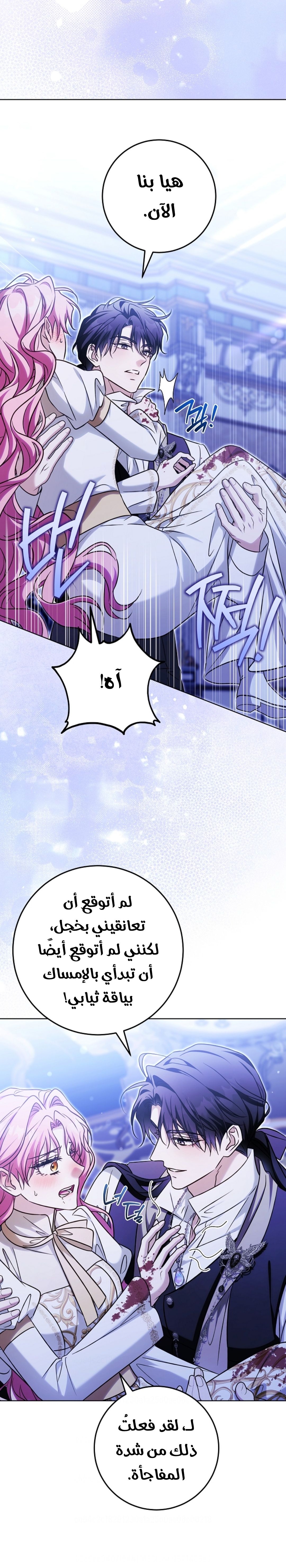الصفحة 16
