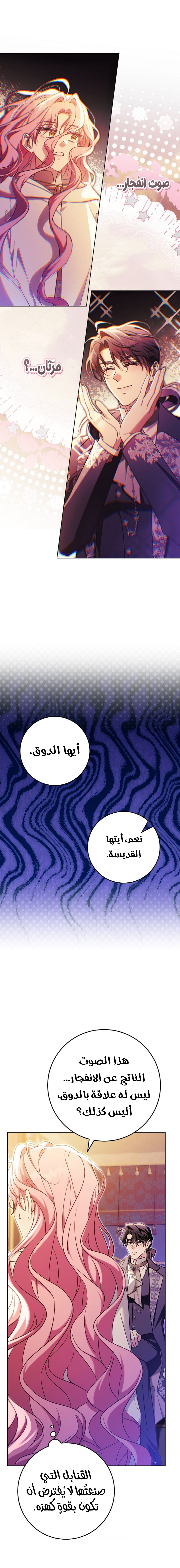 الصفحة 21