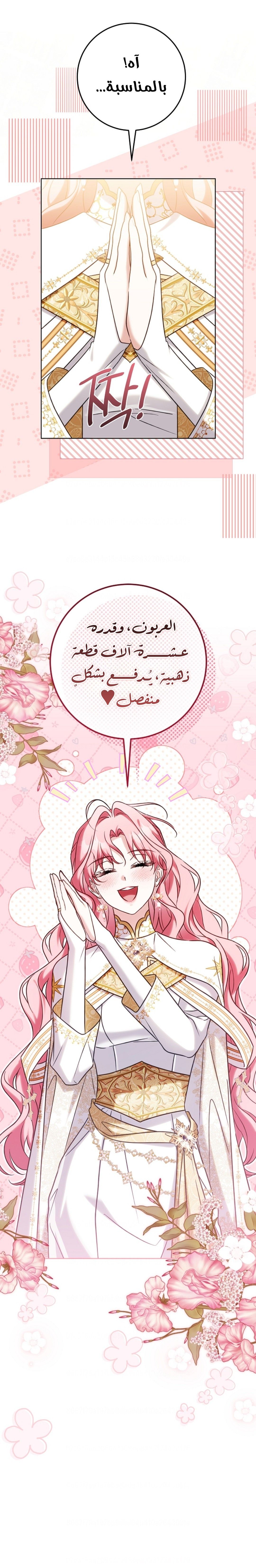 الصفحة 20
