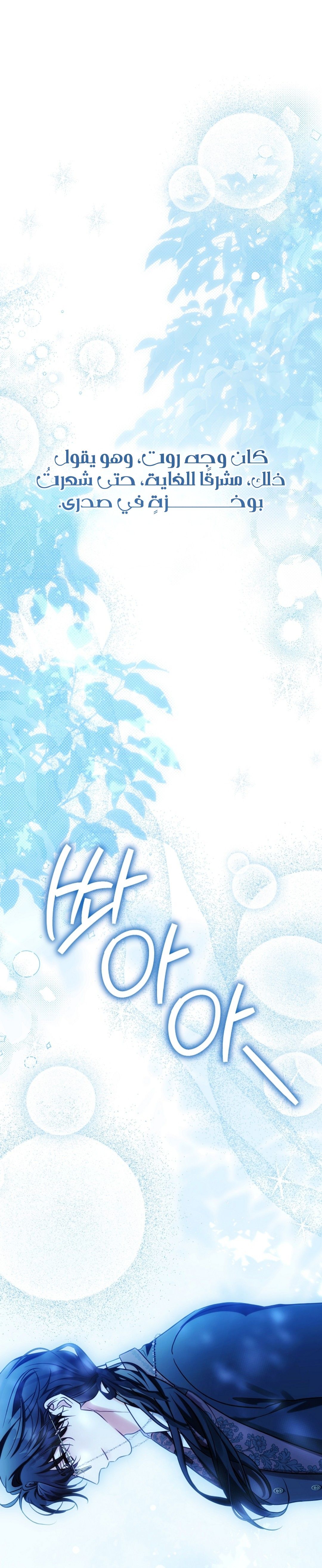 الصفحة 29