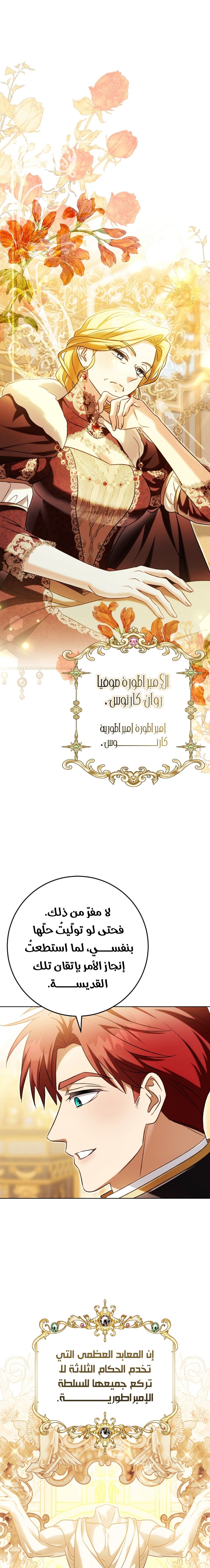 الصفحة 16