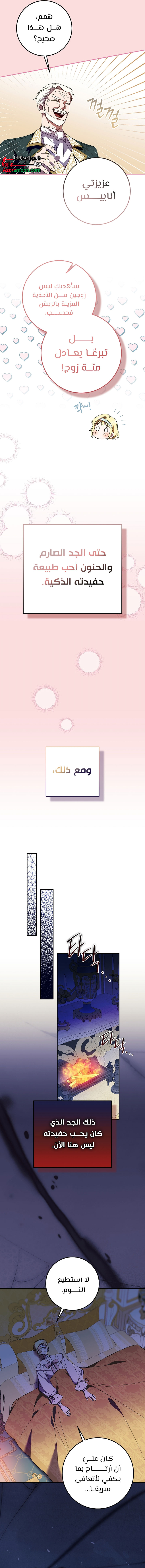الصفحة 4