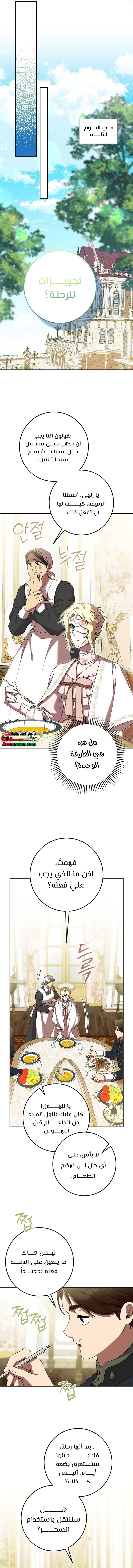 الصفحة 13