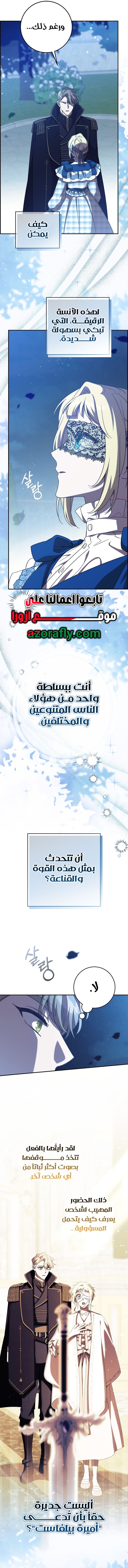 الصفحة 13