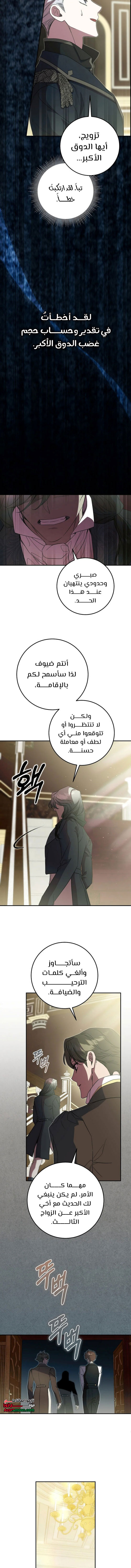 الصفحة 11
