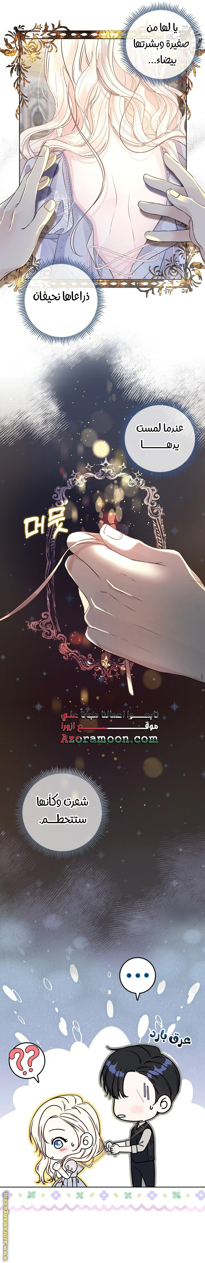 الصفحة 17
