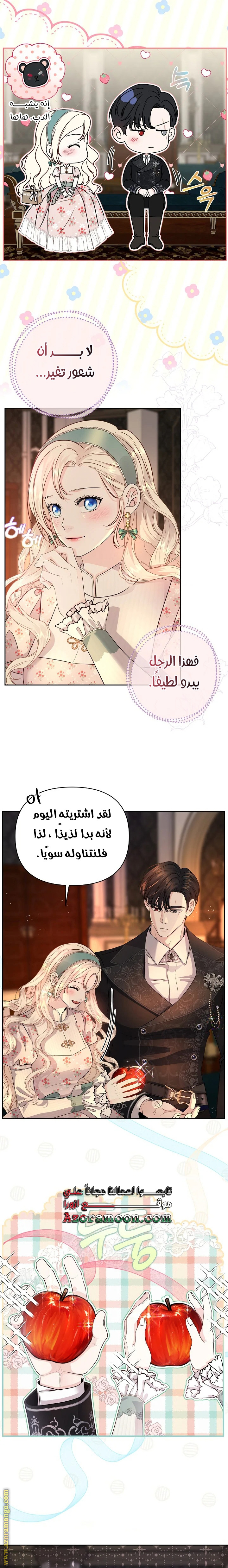 الصفحة 13