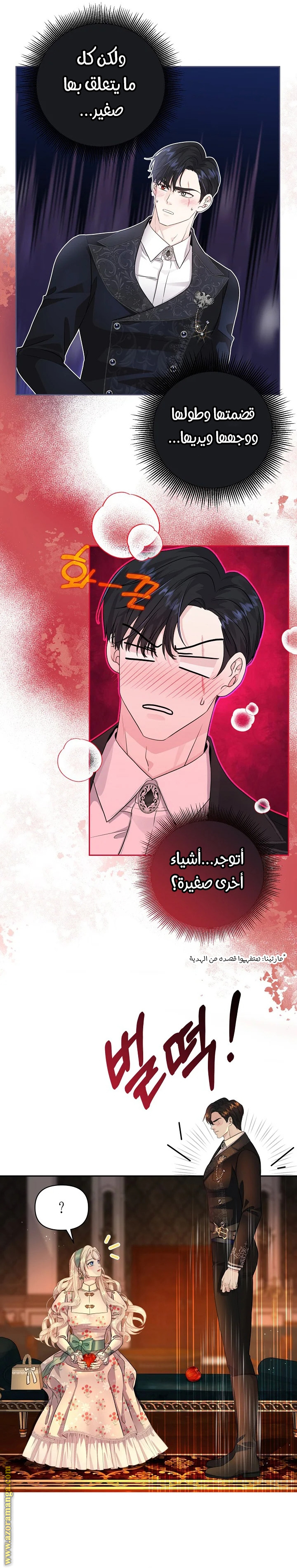 الصفحة 17