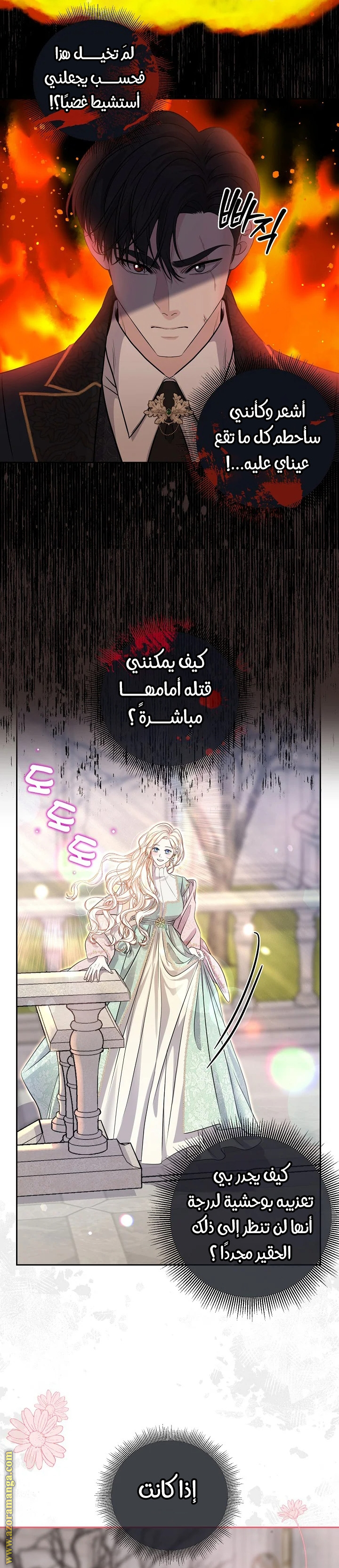 الصفحة 17