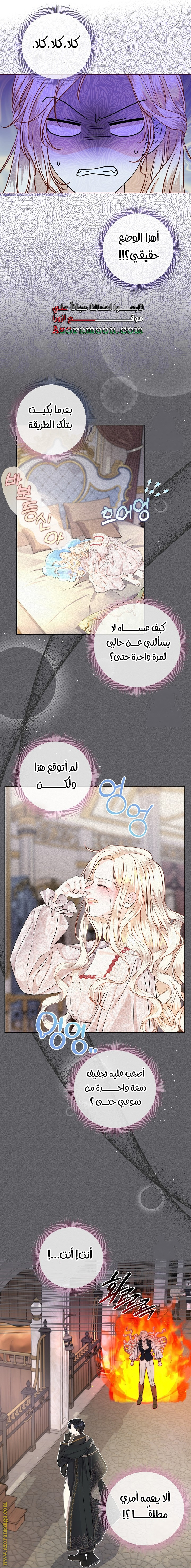 الصفحة 19