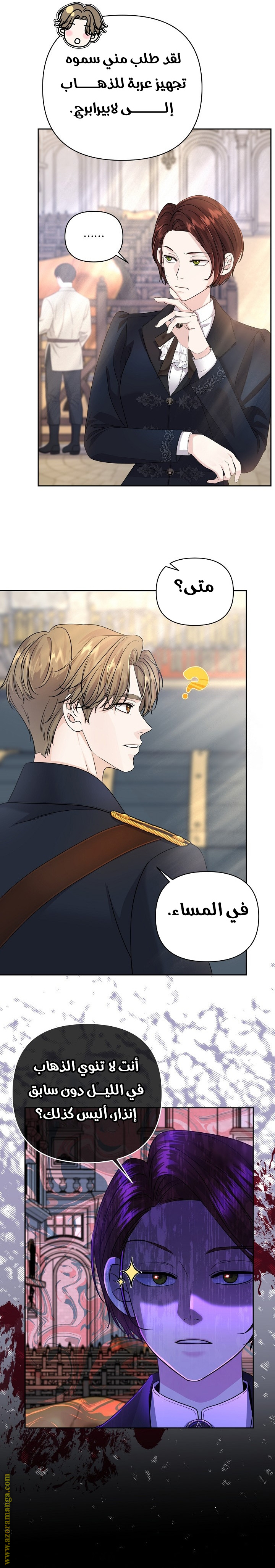 الصفحة 17