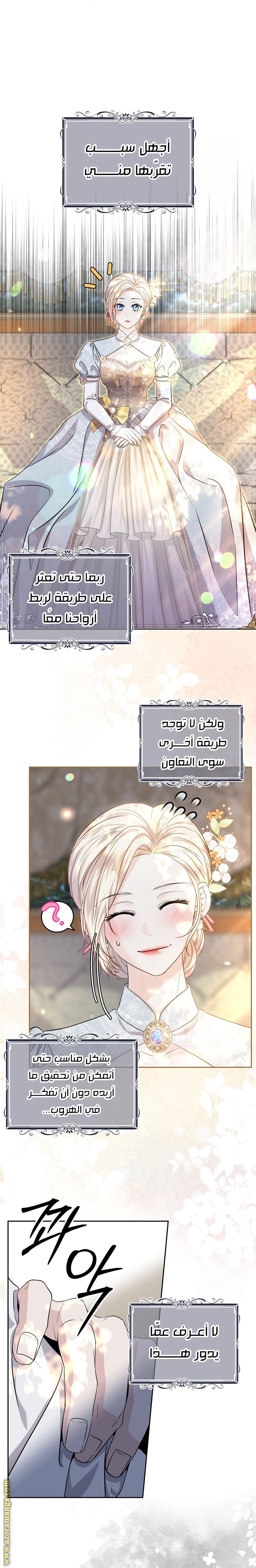 الصفحة 17