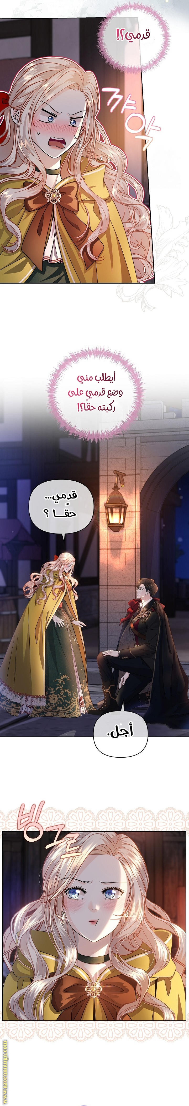 الصفحة 16