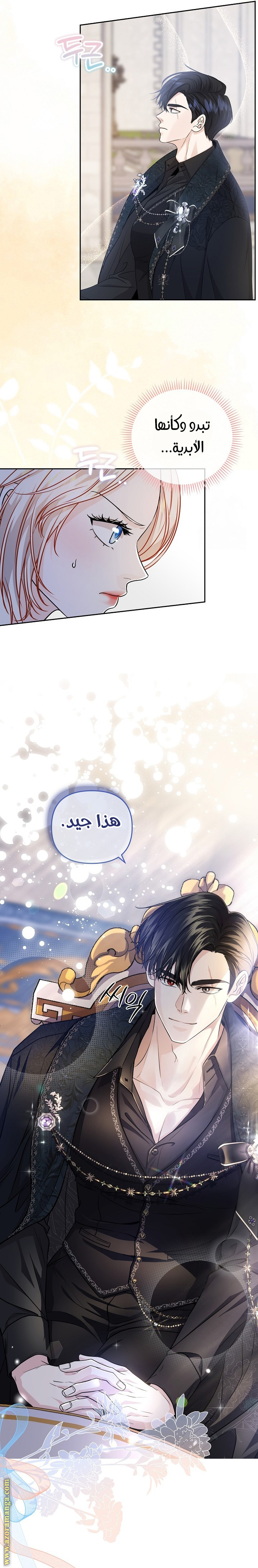 الصفحة 13
