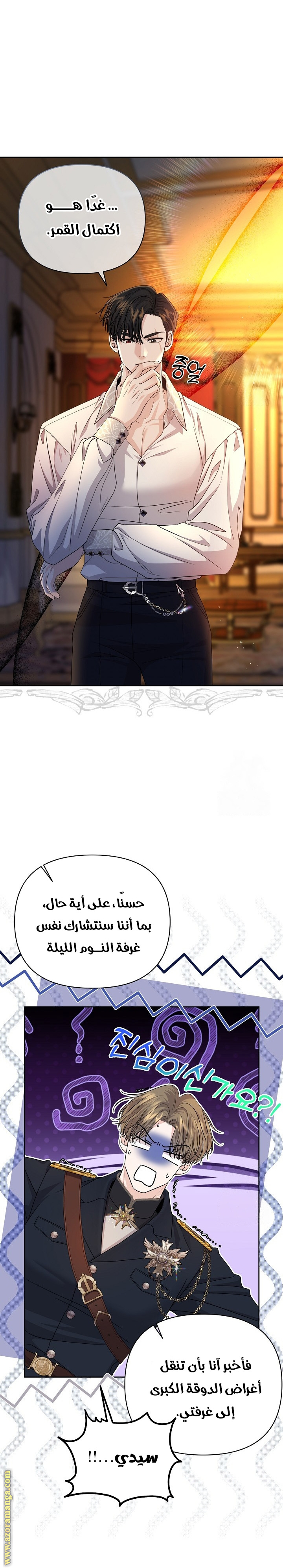 الصفحة 17