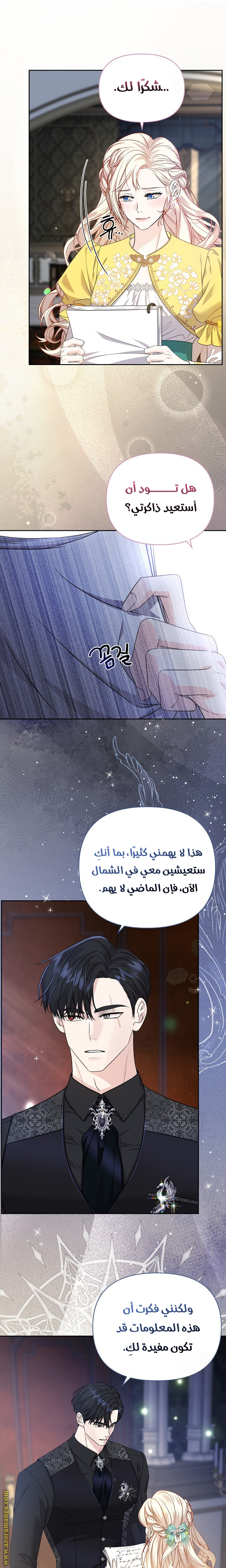 الصفحة 17