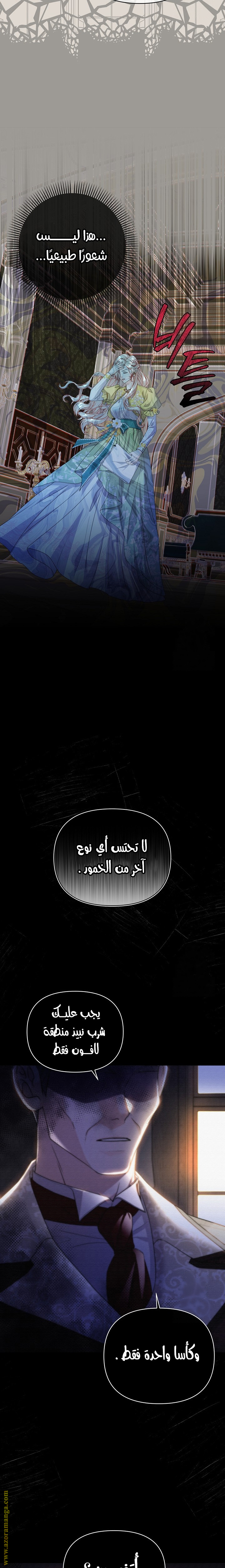 الصفحة 21