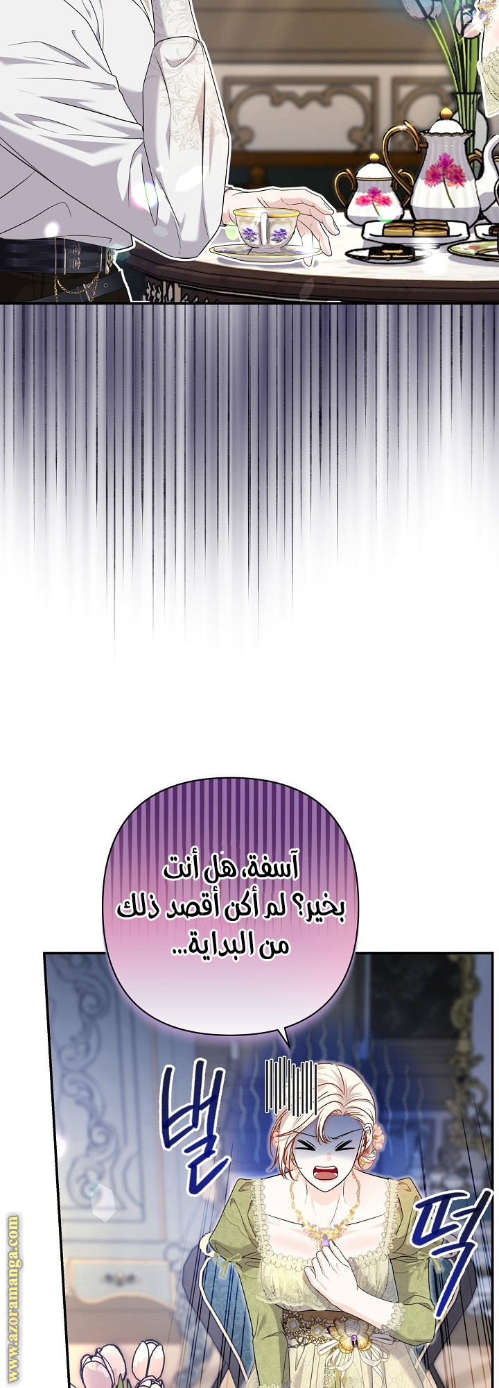 الصفحة 19