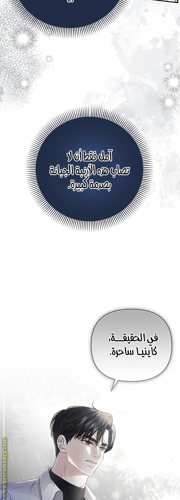 الصفحة 30