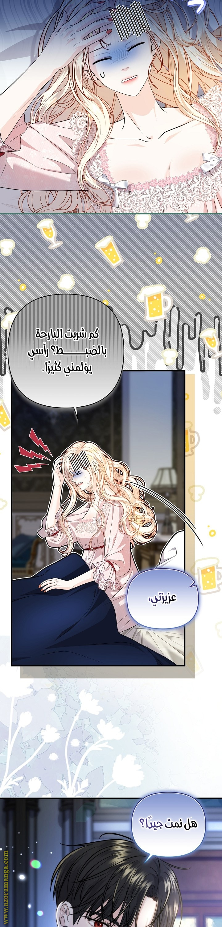 الصفحة 17