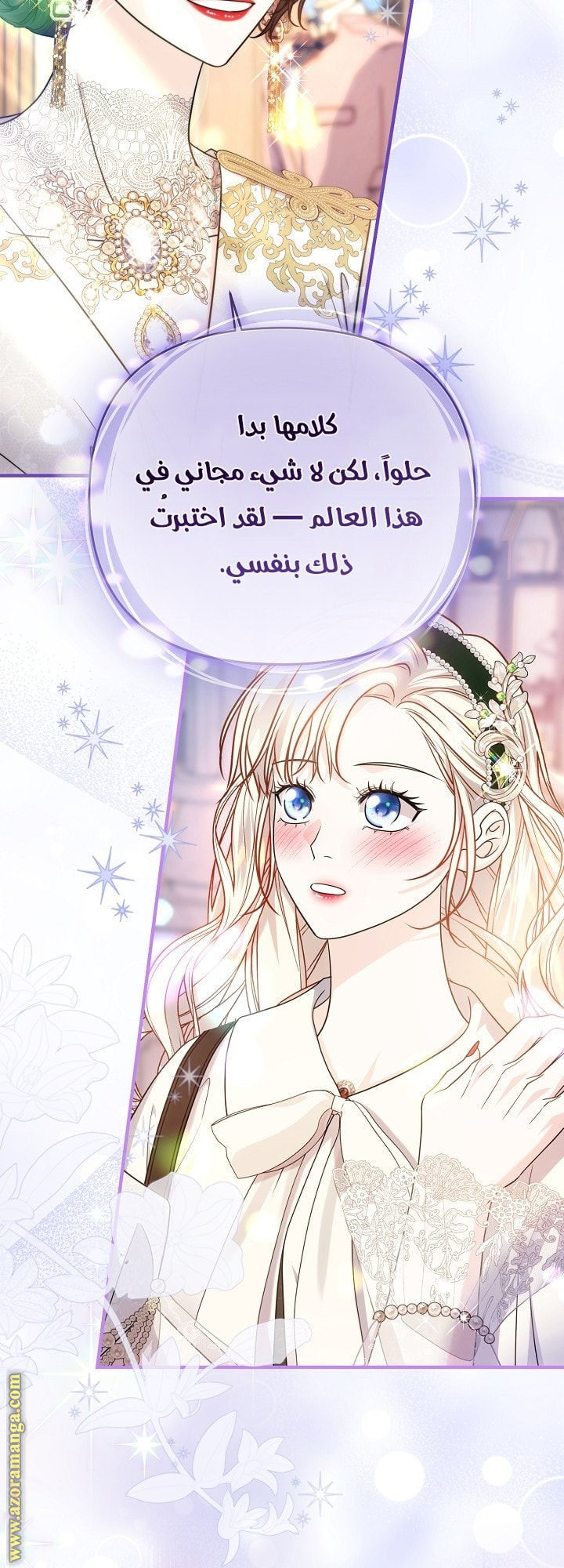 الصفحة 17