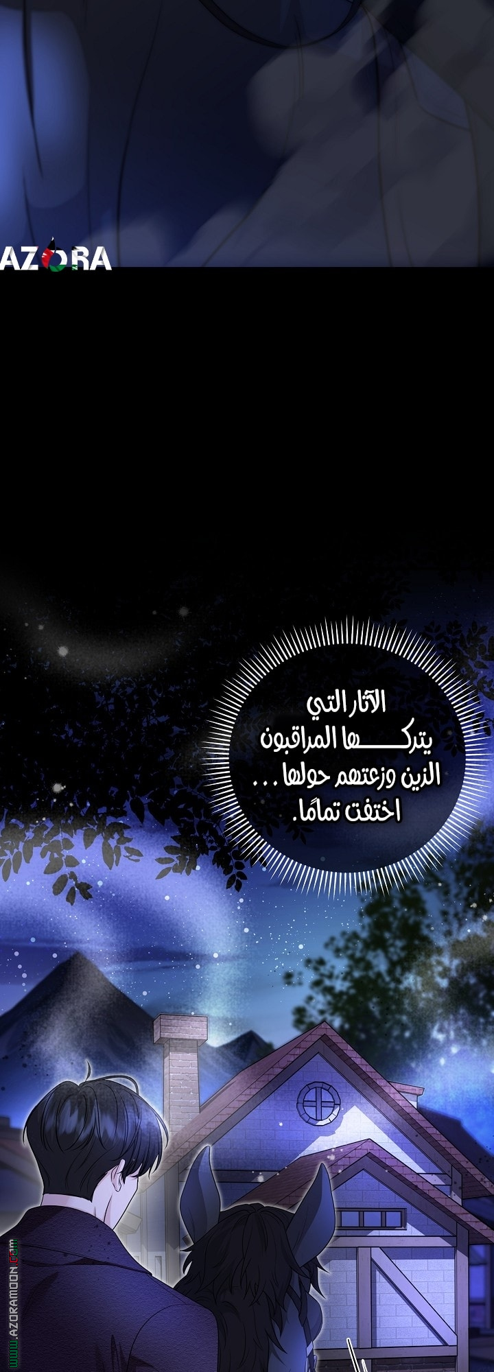 الصفحة 27