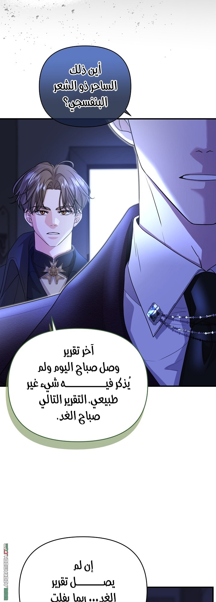 الصفحة 31