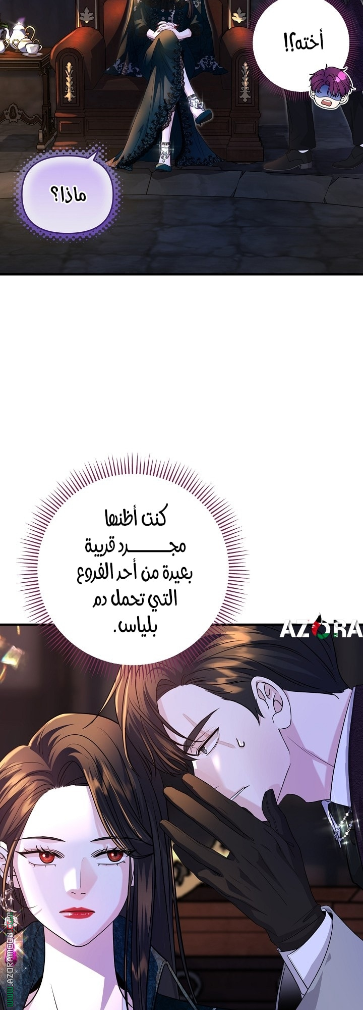 الصفحة 47