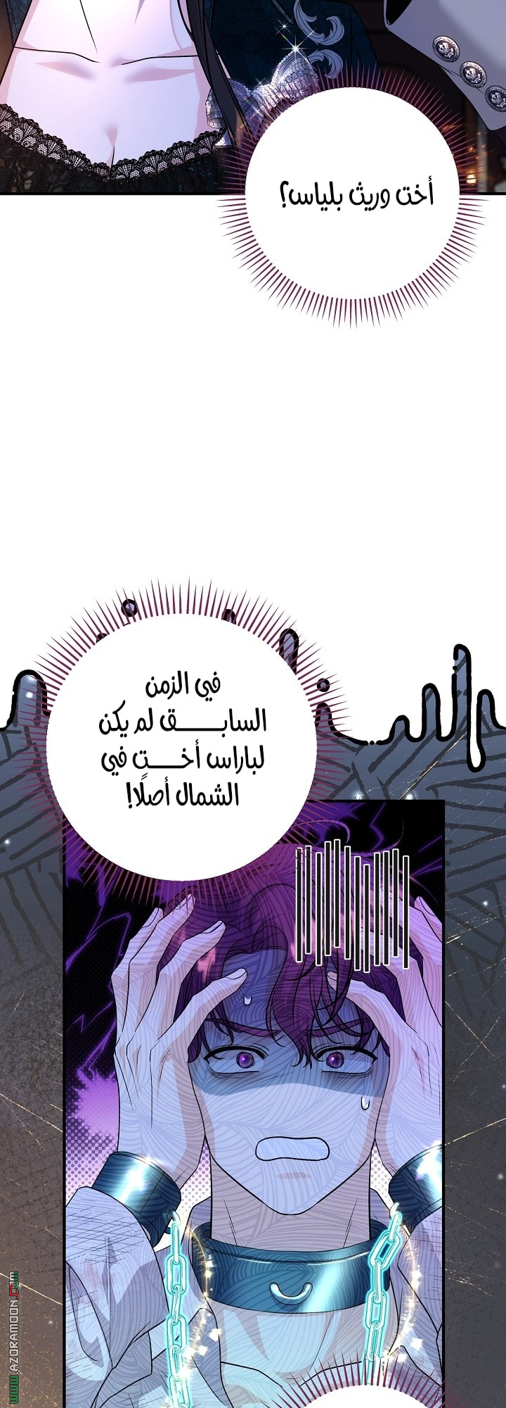 الصفحة 48