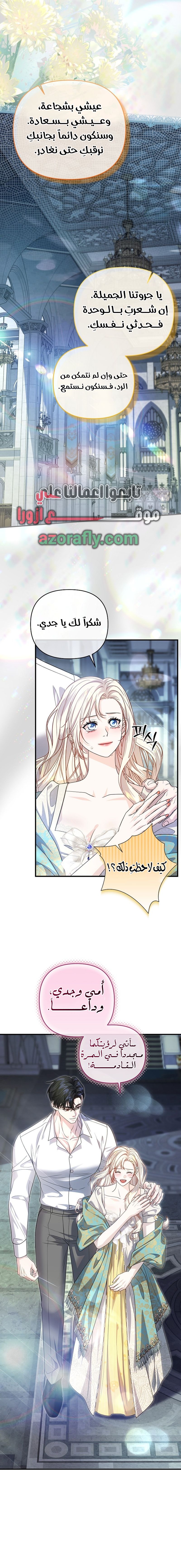 الصفحة 17