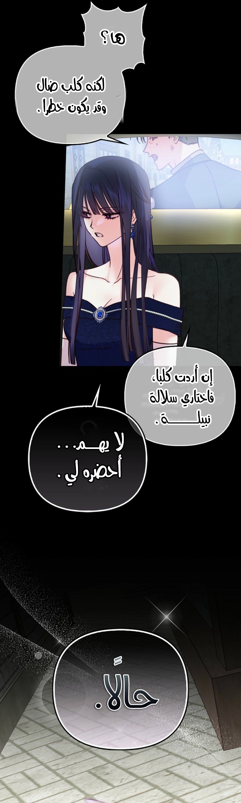 الصفحة 12