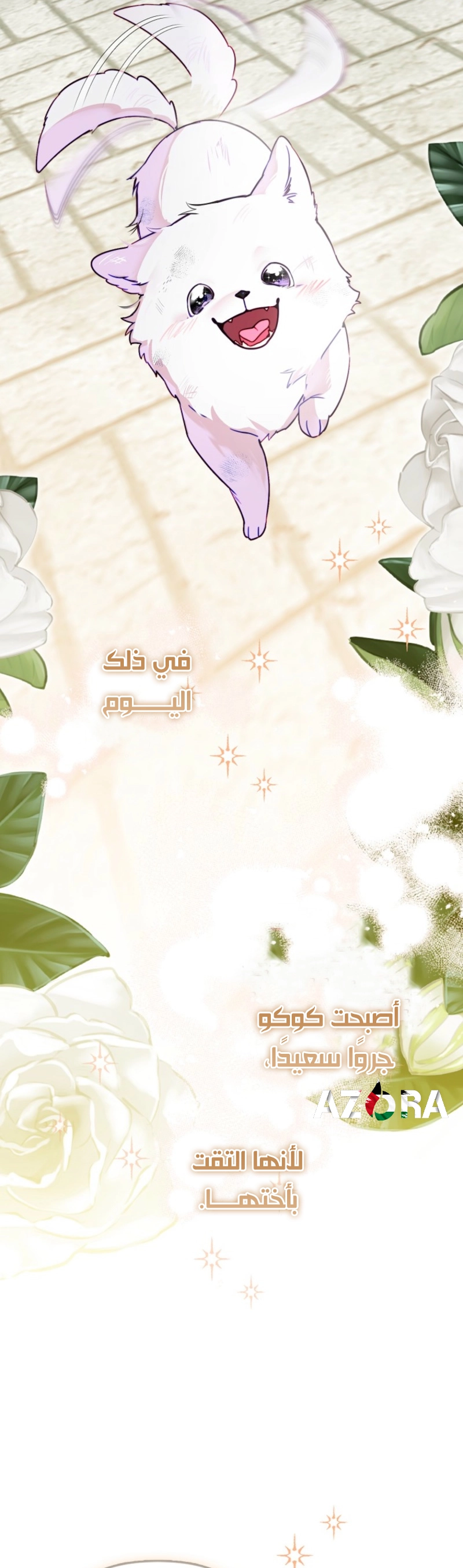 الصفحة 13
