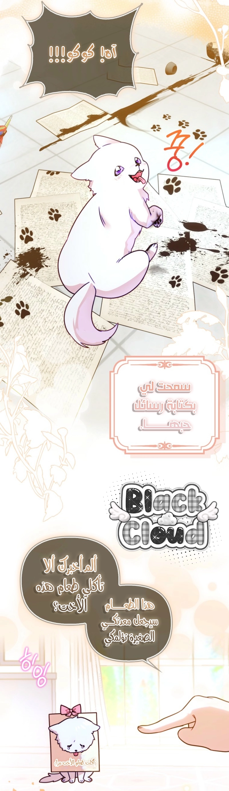الصفحة 16