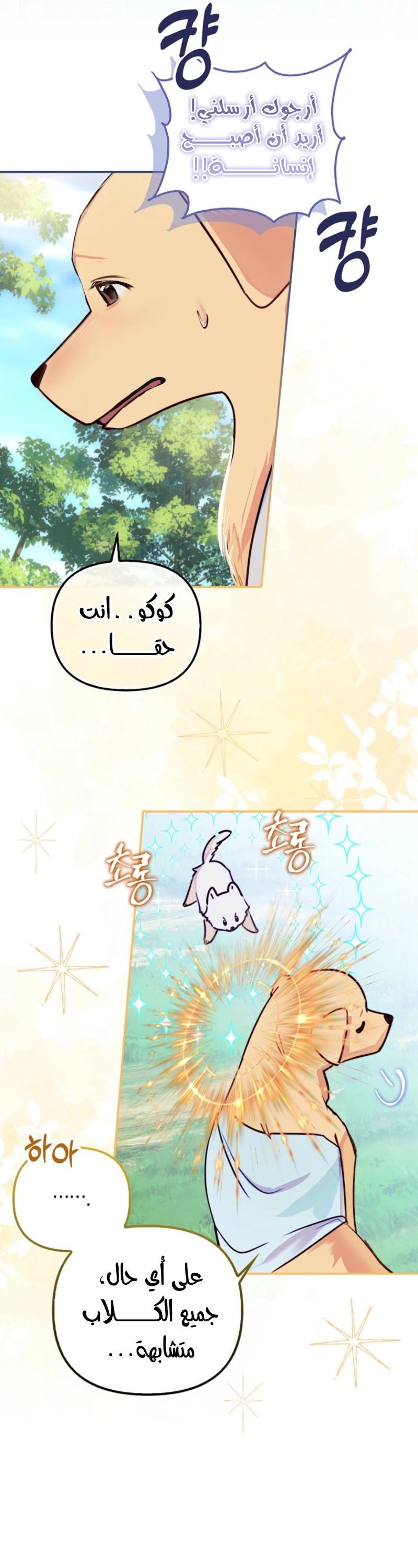 الصفحة 33