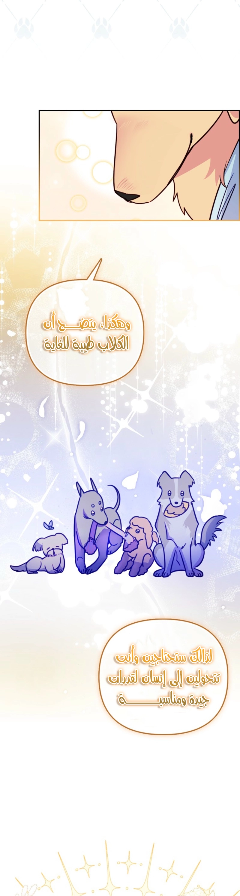 الصفحة 39