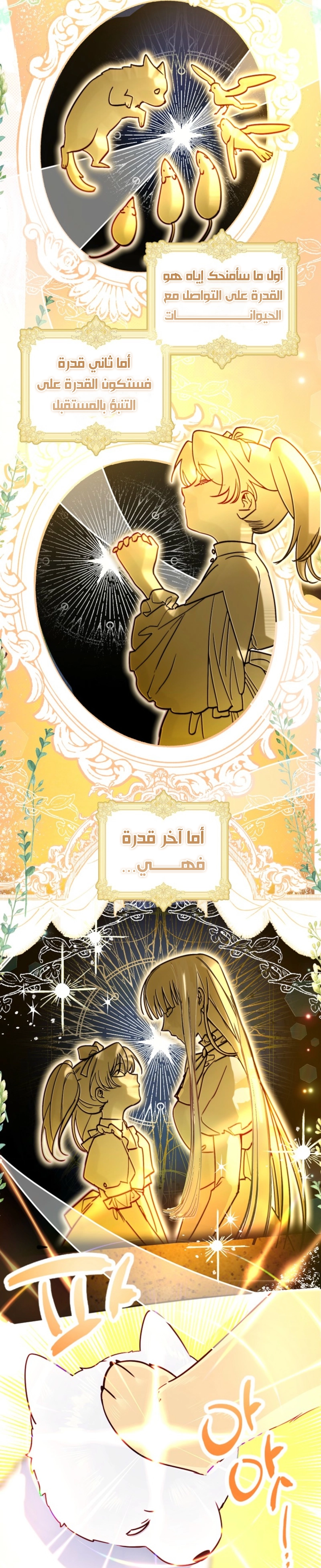 الصفحة 41