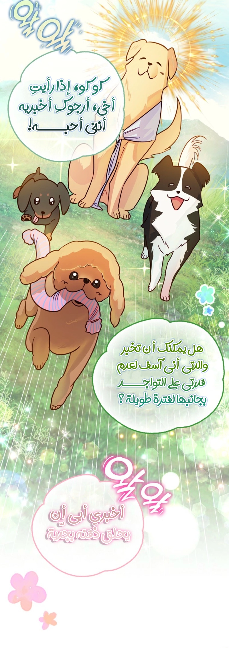 الصفحة 44