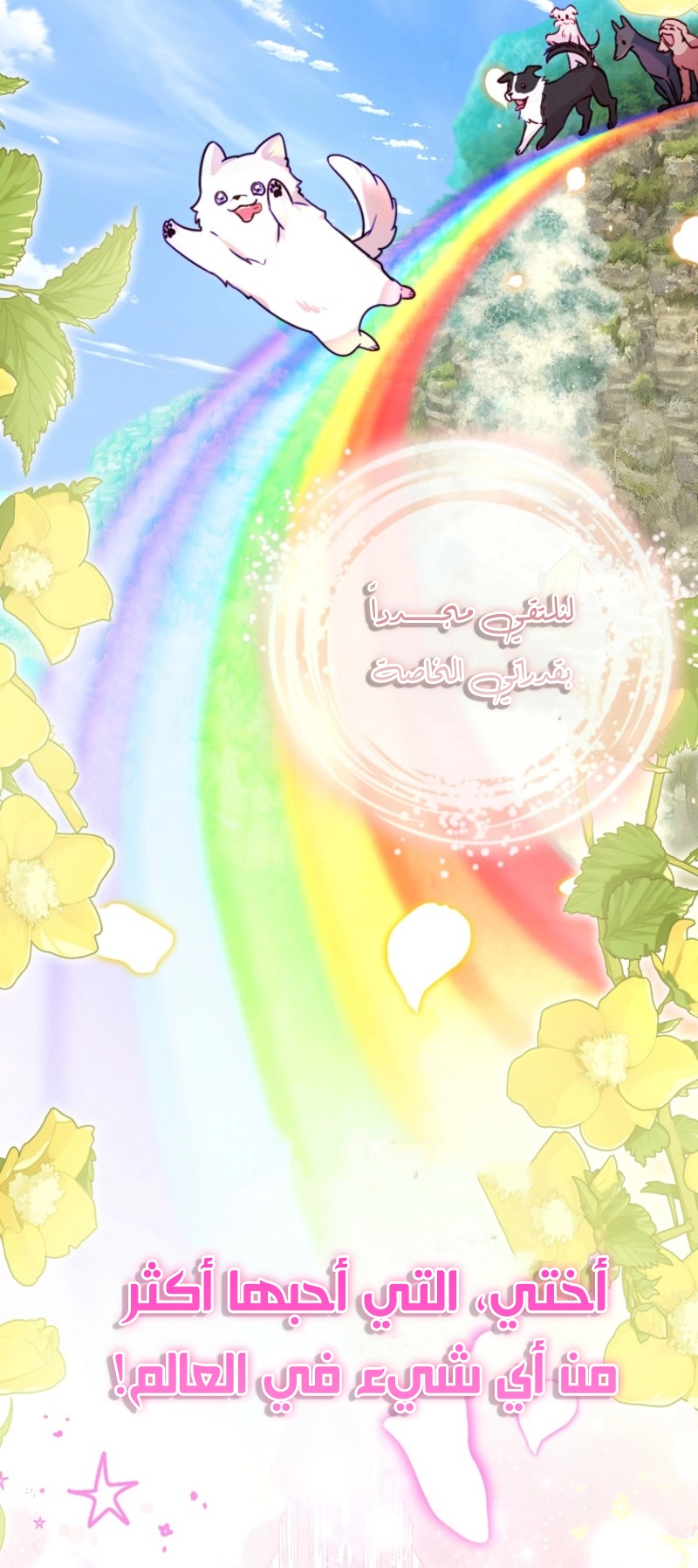 الصفحة 46
