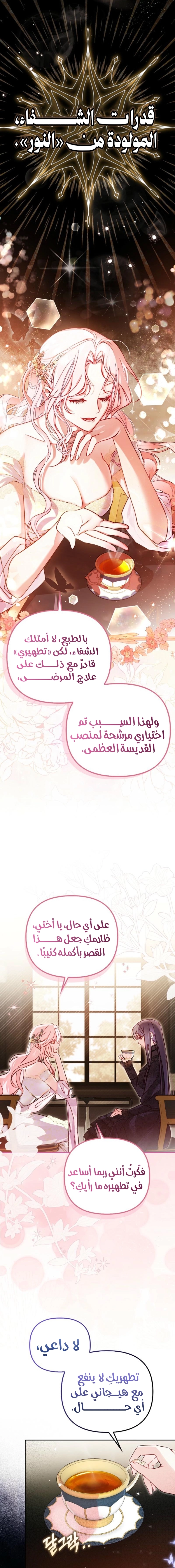 الصفحة 17
