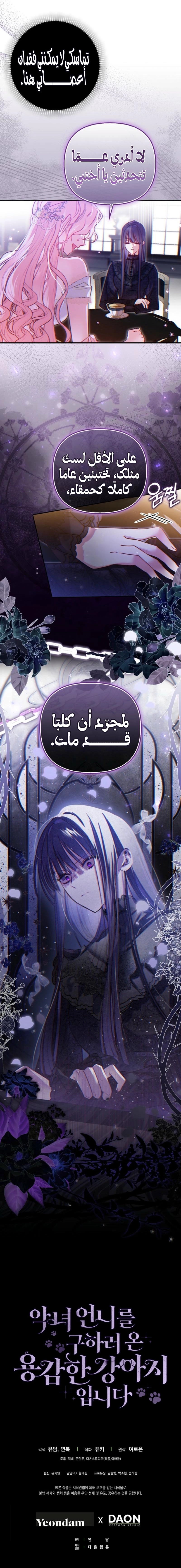 الصفحة 19
