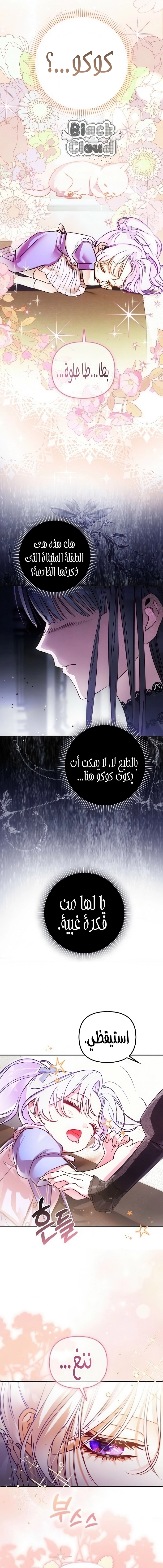 الصفحة 17