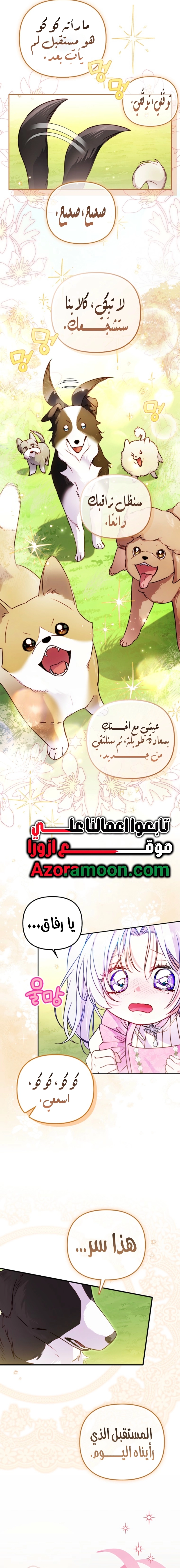 الصفحة 2