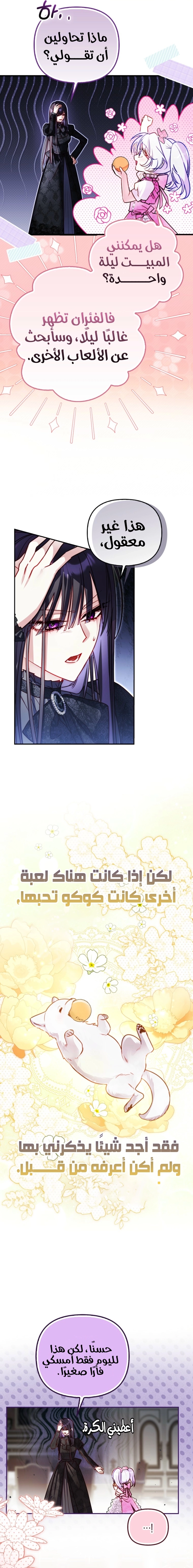 الصفحة 13