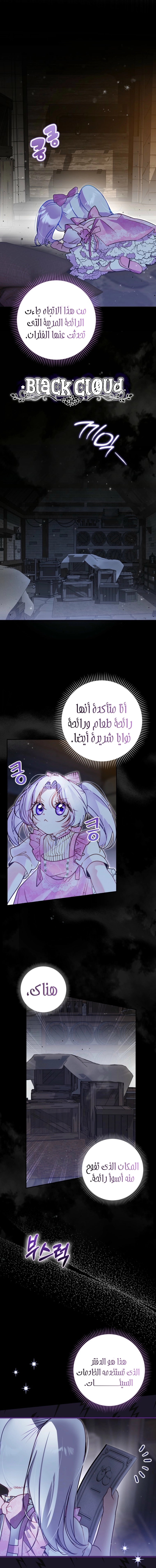 الصفحة 16