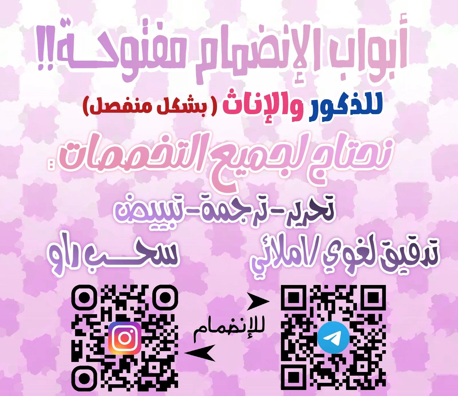 الصفحة 13