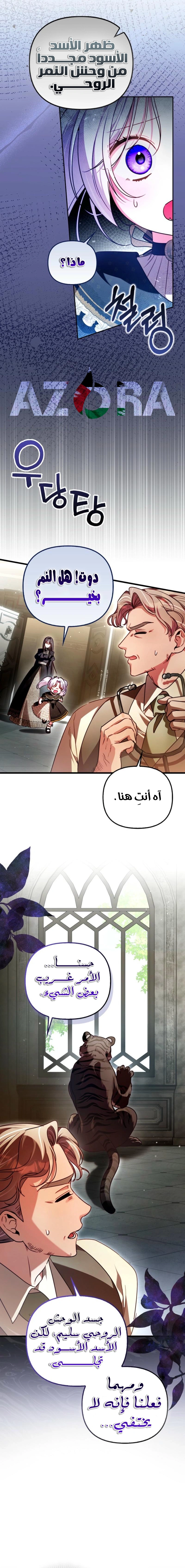 الصفحة 12