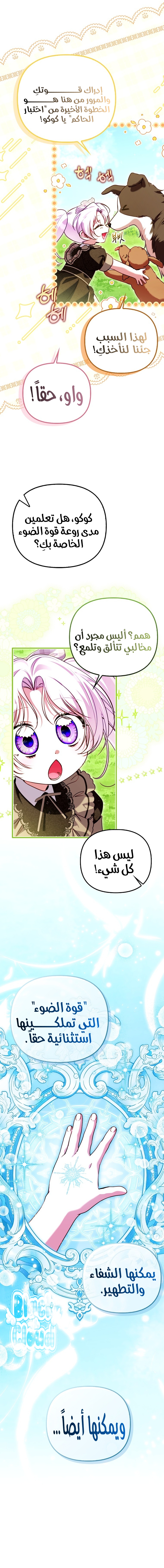 الصفحة 6