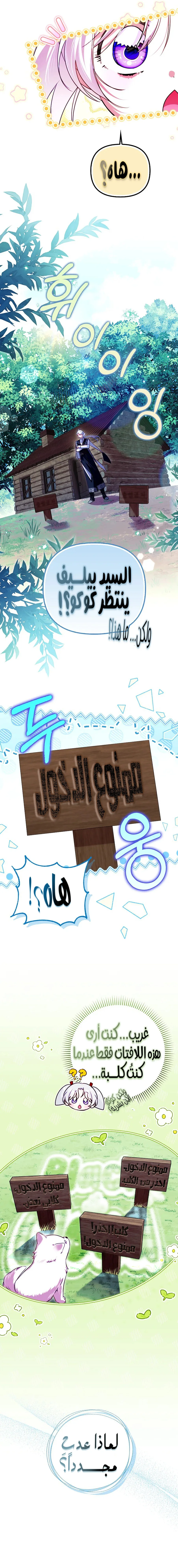 الصفحة 11